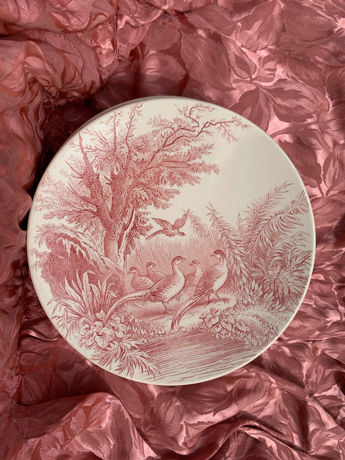 Six assiettes Sarreguemines Sylvia U & Cie