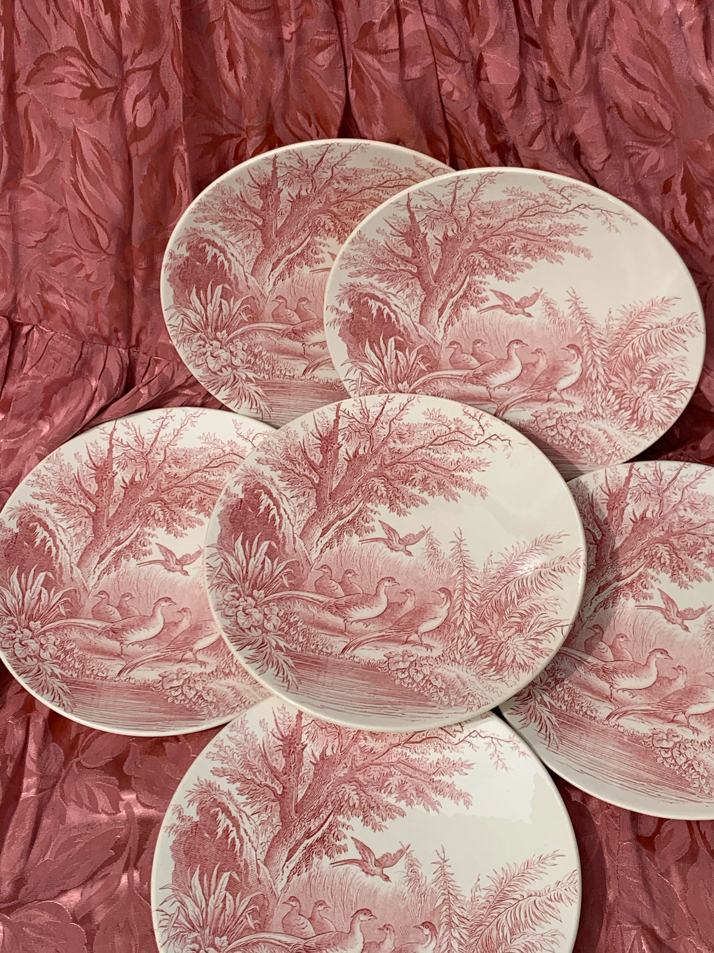 Six assiettes Sarreguemines Sylvia U & Cie