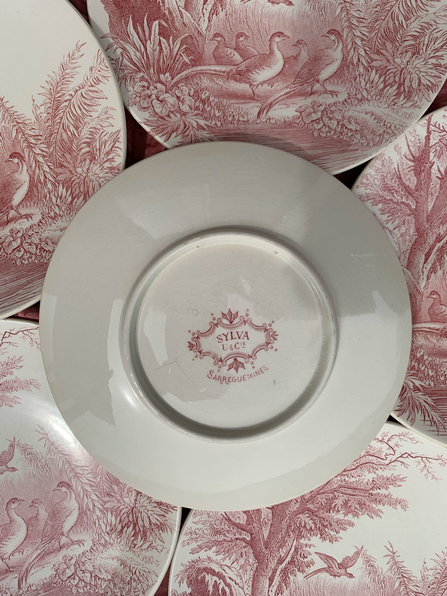 Six assiettes Sarreguemines Sylvia U & Cie