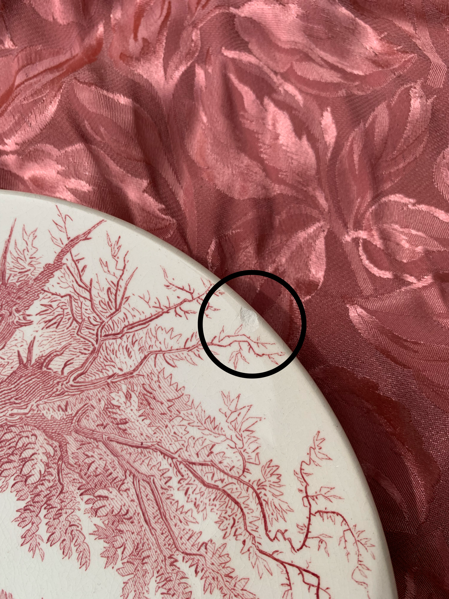 Six assiettes Sarreguemines Sylvia U & Cie