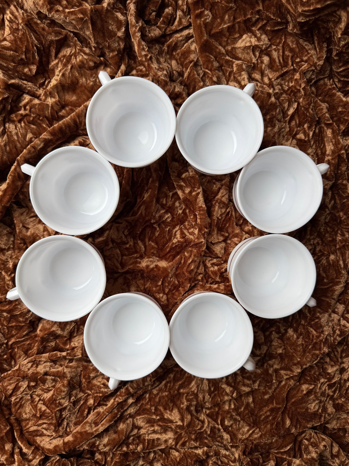 Huit tasses Arcopal France légumes automne