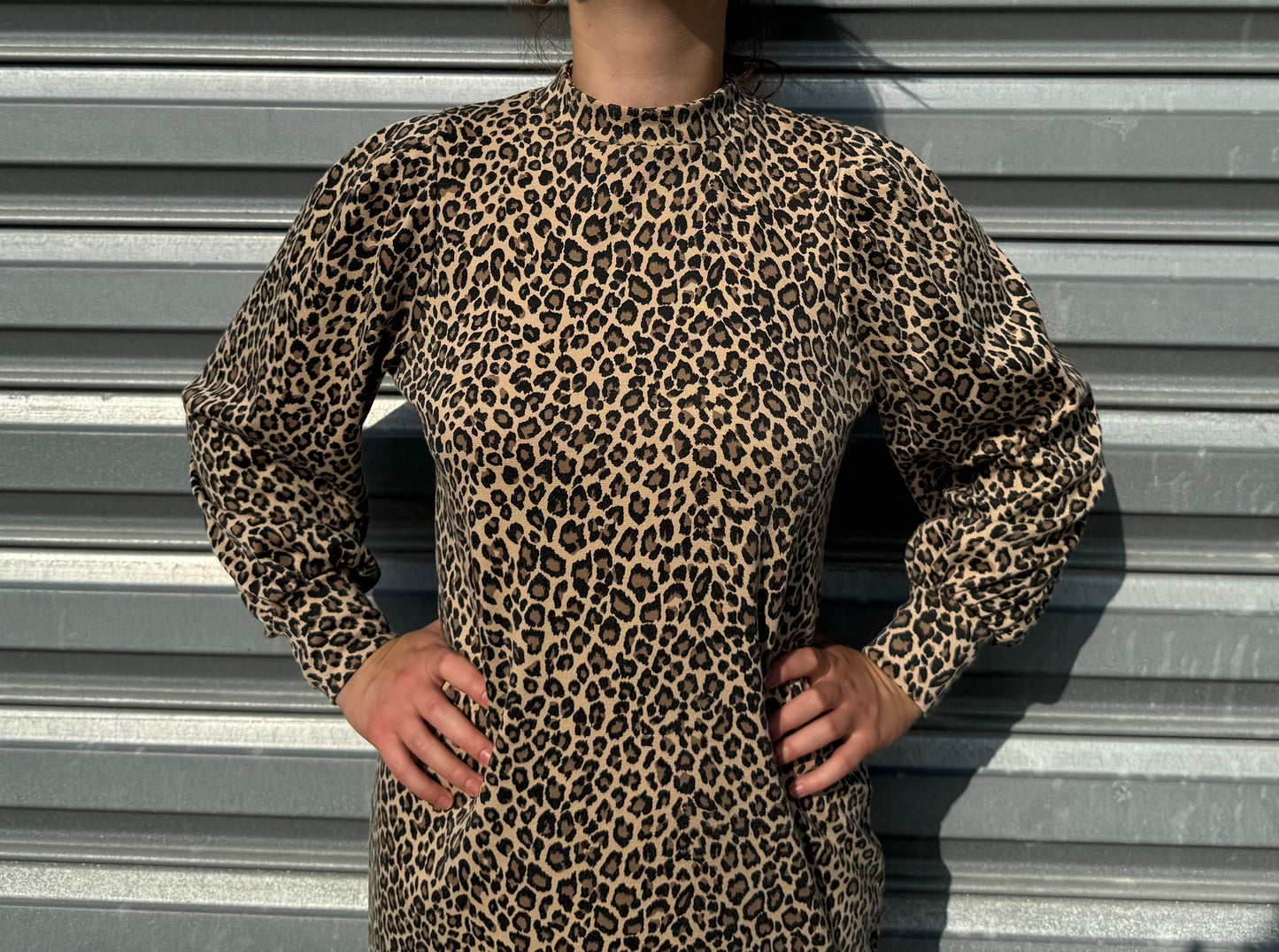 Robe léopard à manches longues Miss Selfridge T.S/M