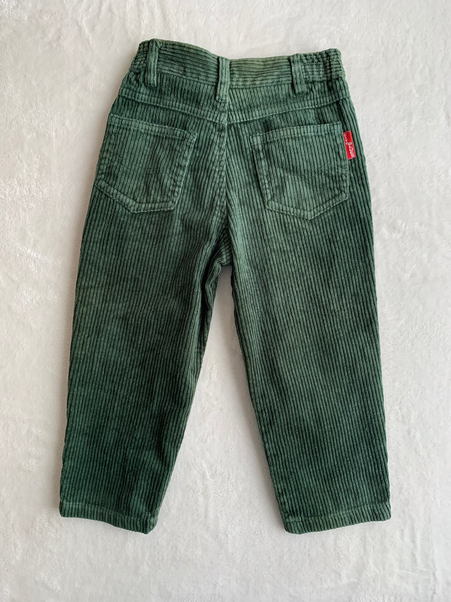 Pantalon en velours côtelé City Blues T.3 ans
