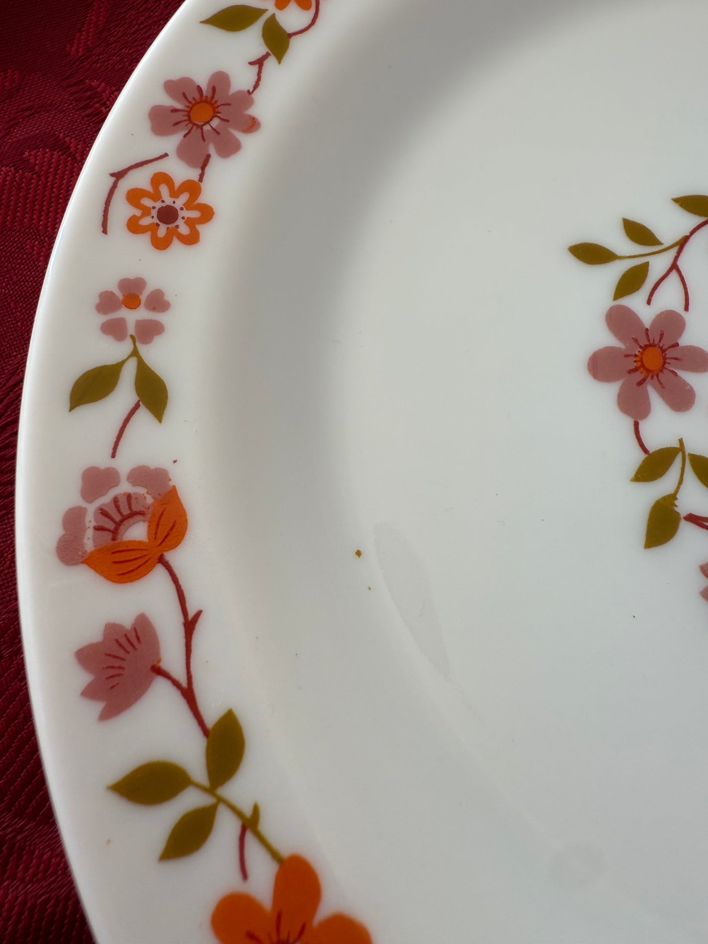 Dix assiettes à dessert Arcopal modèle Scania