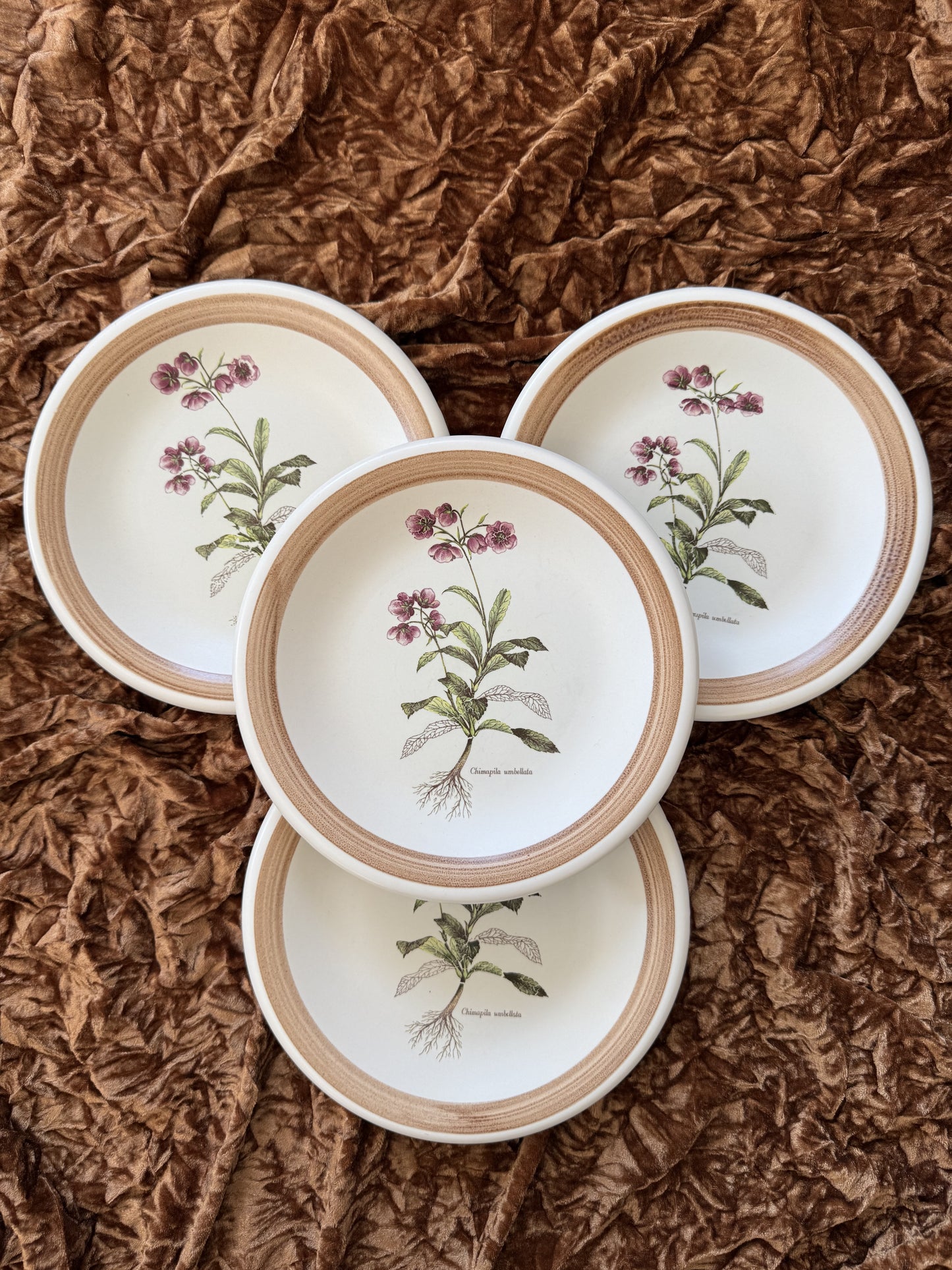 Quatre assiettes en grès Primula made in Italy