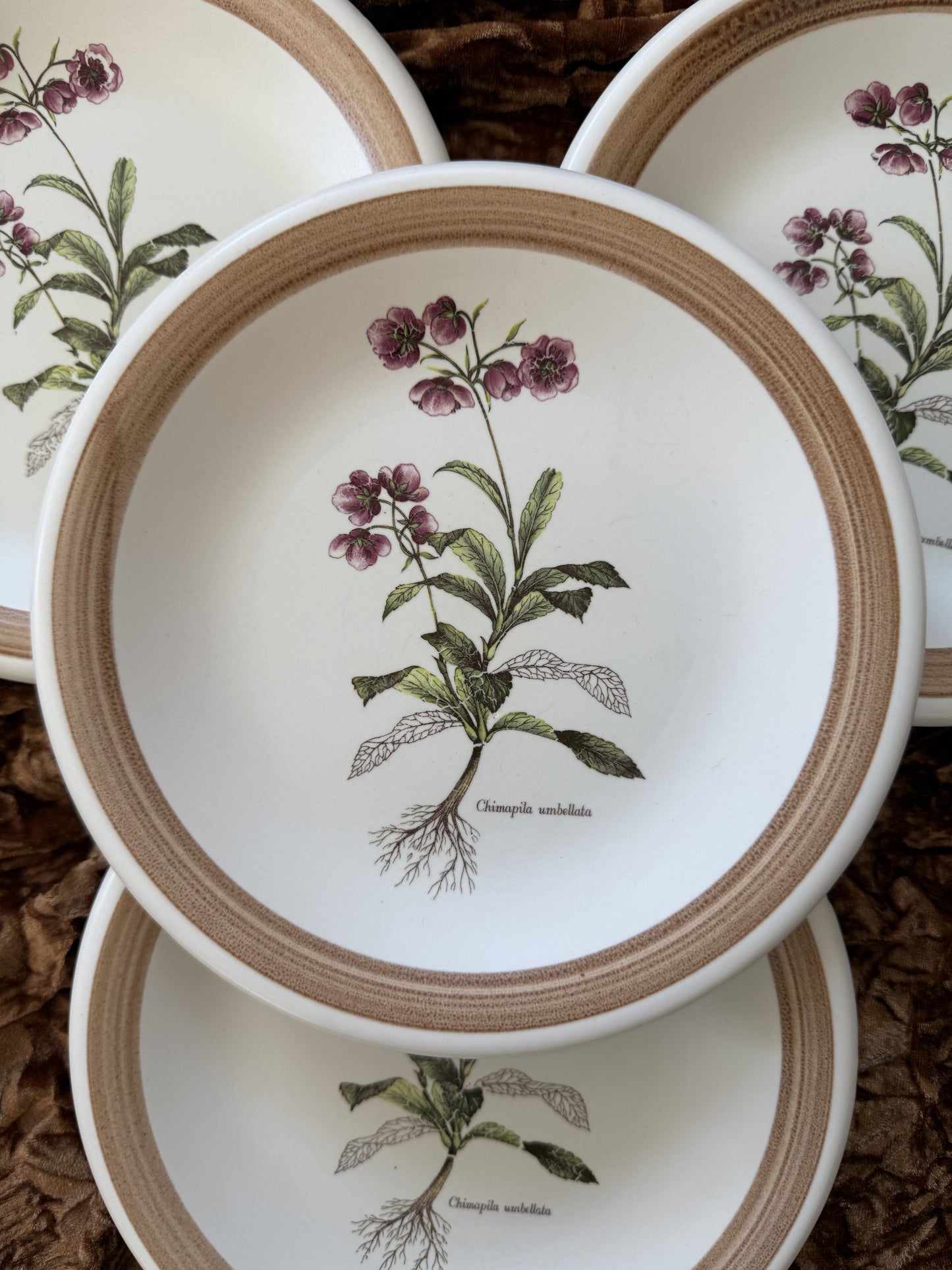 Quatre assiettes en grès Primula made in Italy