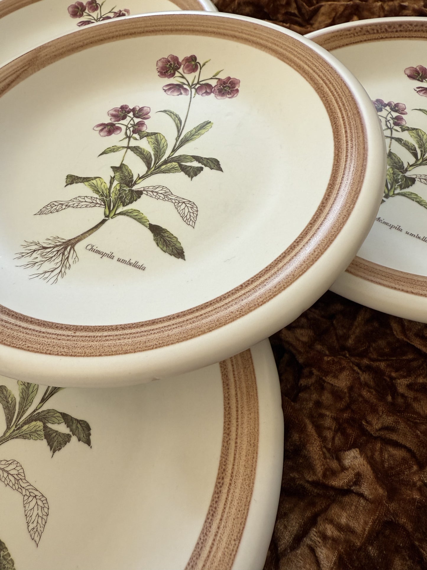 Quatre assiettes en grès Primula made in Italy
