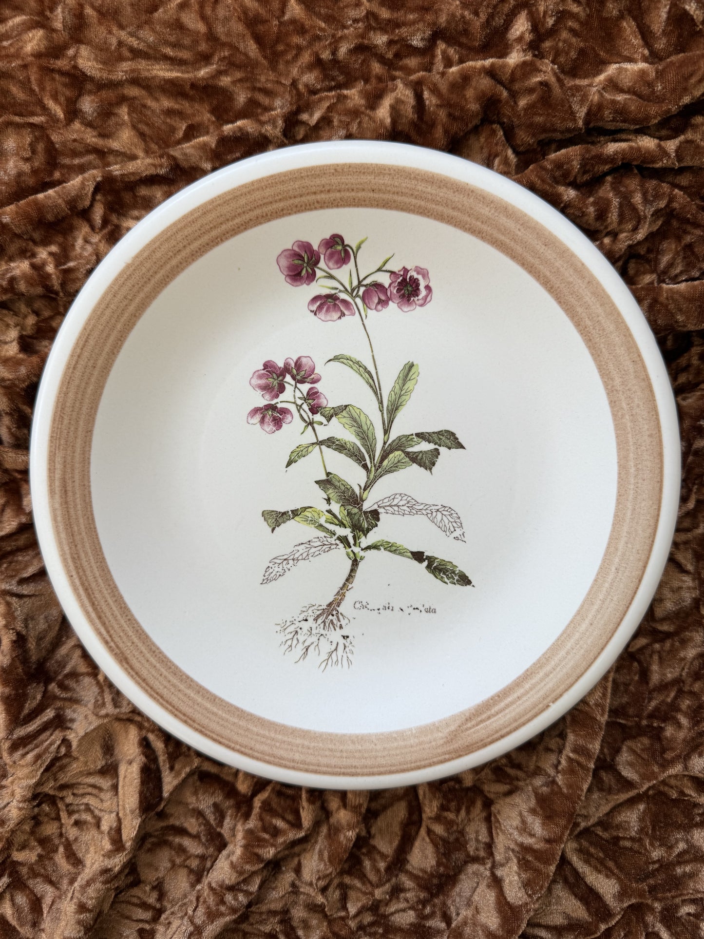 Quatre assiettes en grès Primula made in Italy