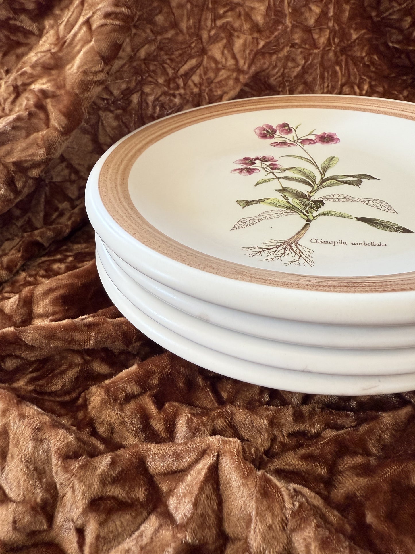Quatre assiettes en grès Primula made in Italy