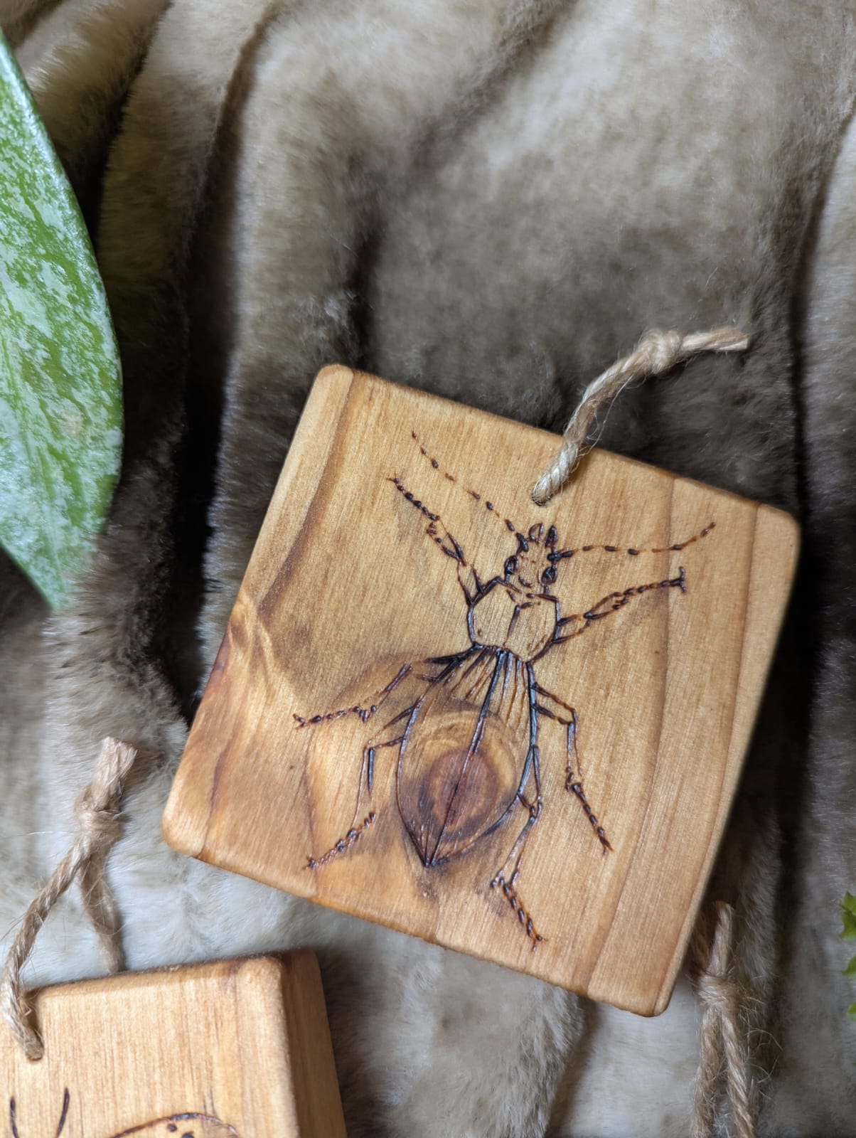 Petite planche en bois d'un scarabée faite au pyrograveur