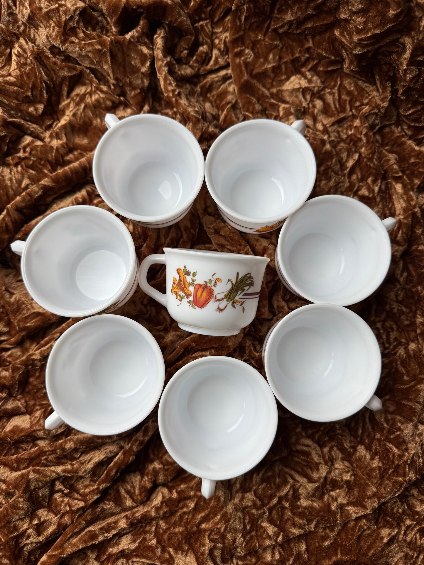 Huit tasses Arcopal France légumes automne