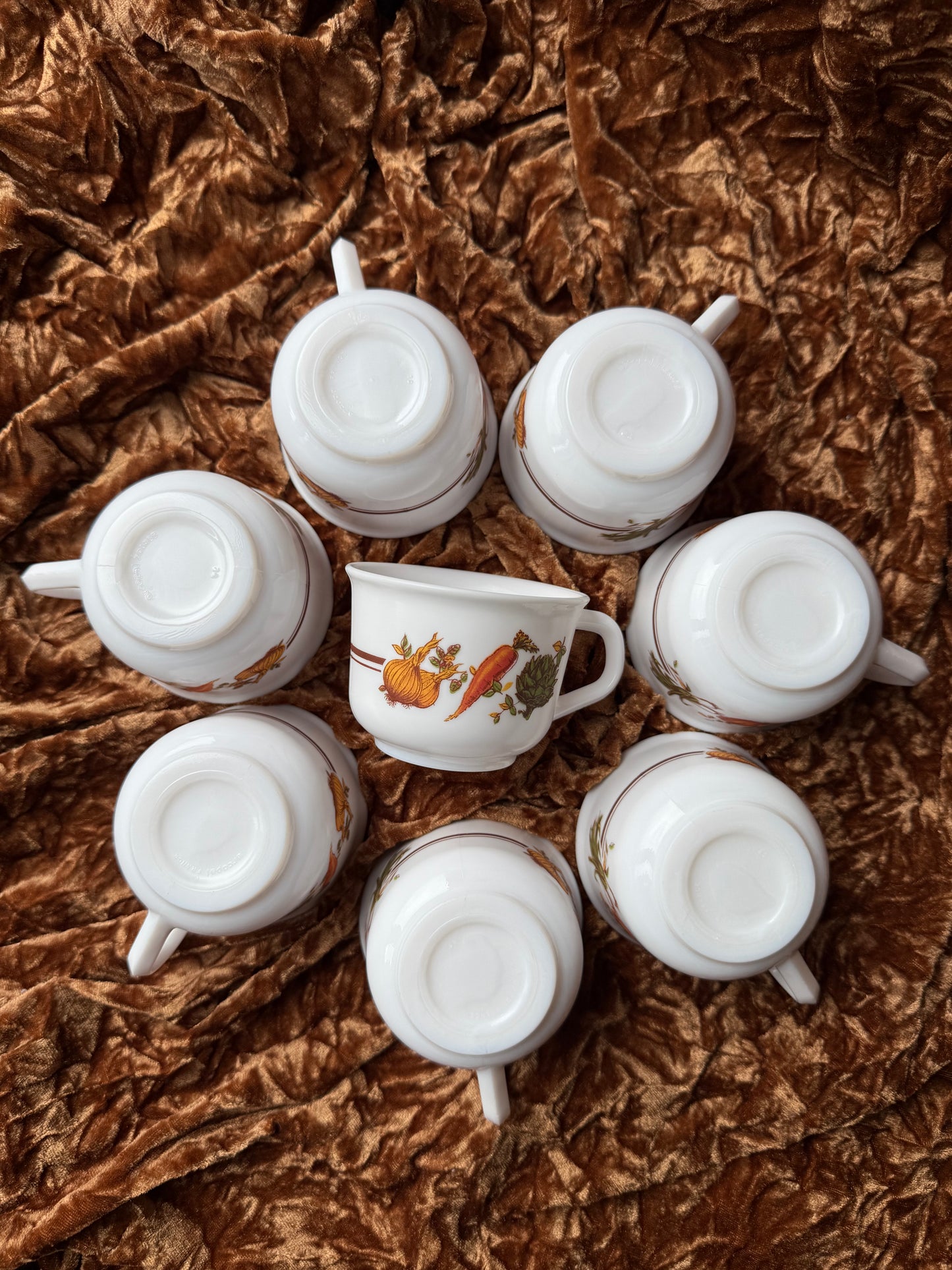 Huit tasses Arcopal France légumes automne