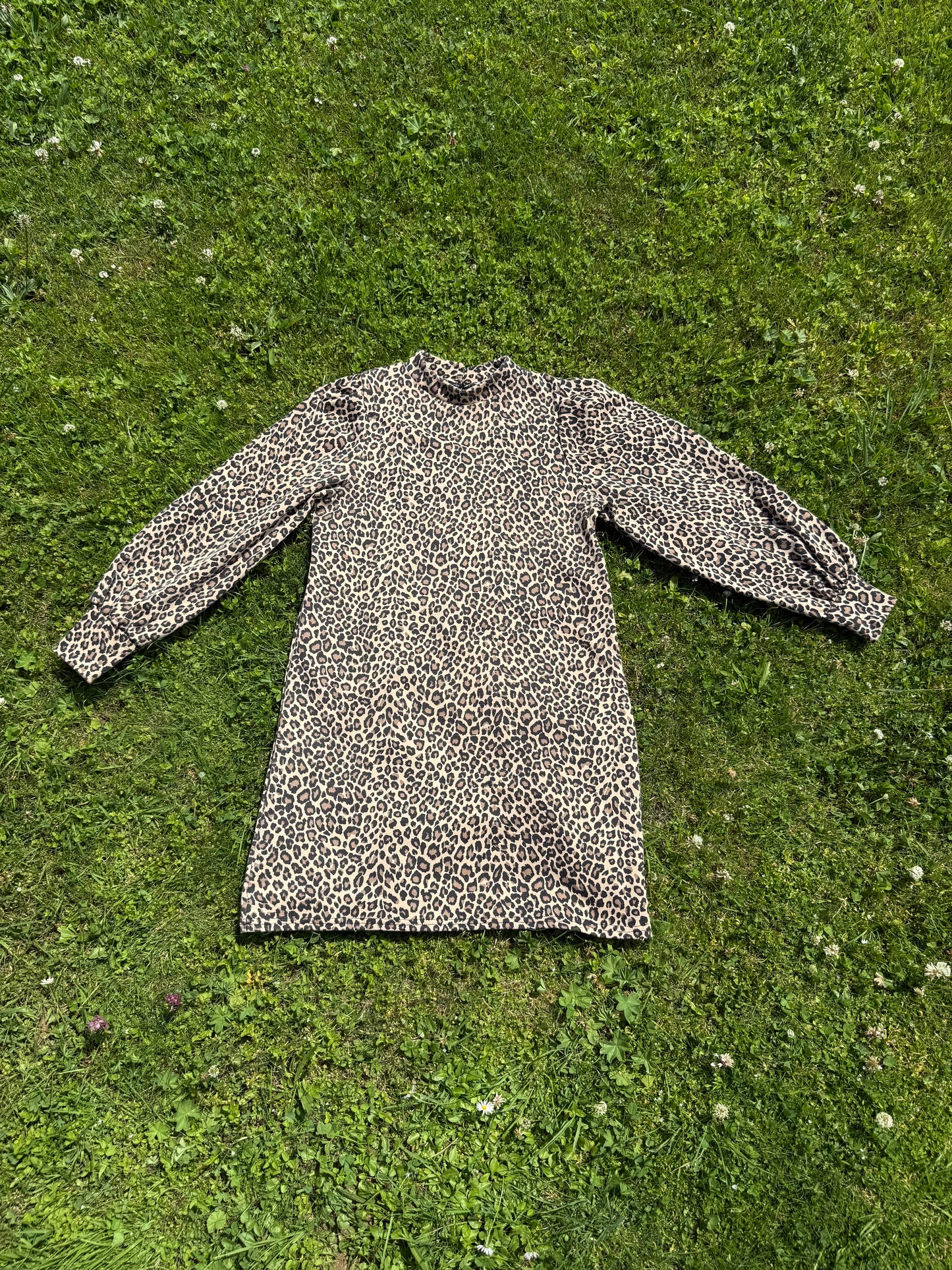 Robe léopard à manches longues Miss Selfridge T.S/M