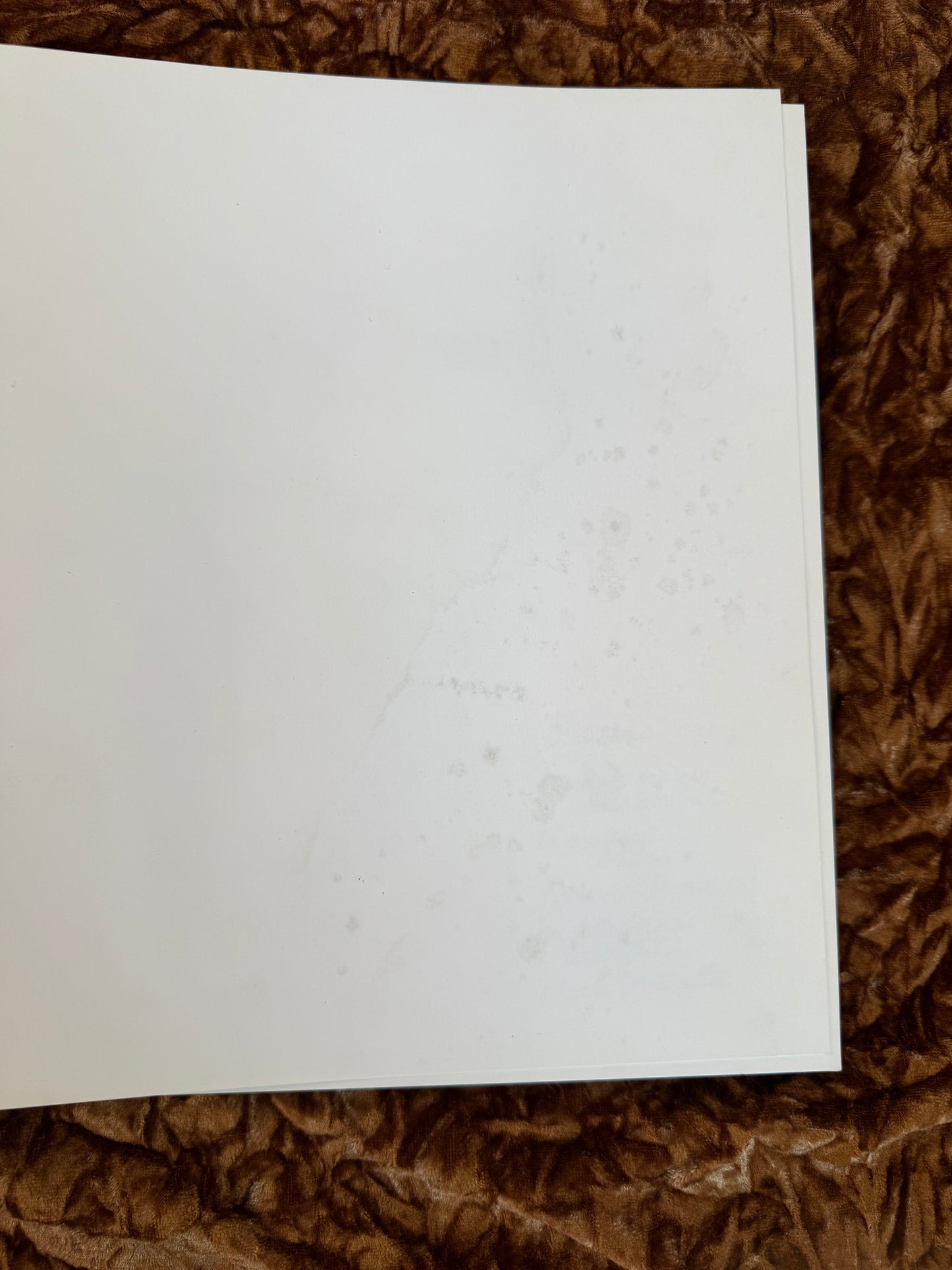 Carnets d'Ailleurs Lizzie Napoli éditions Équinoxe