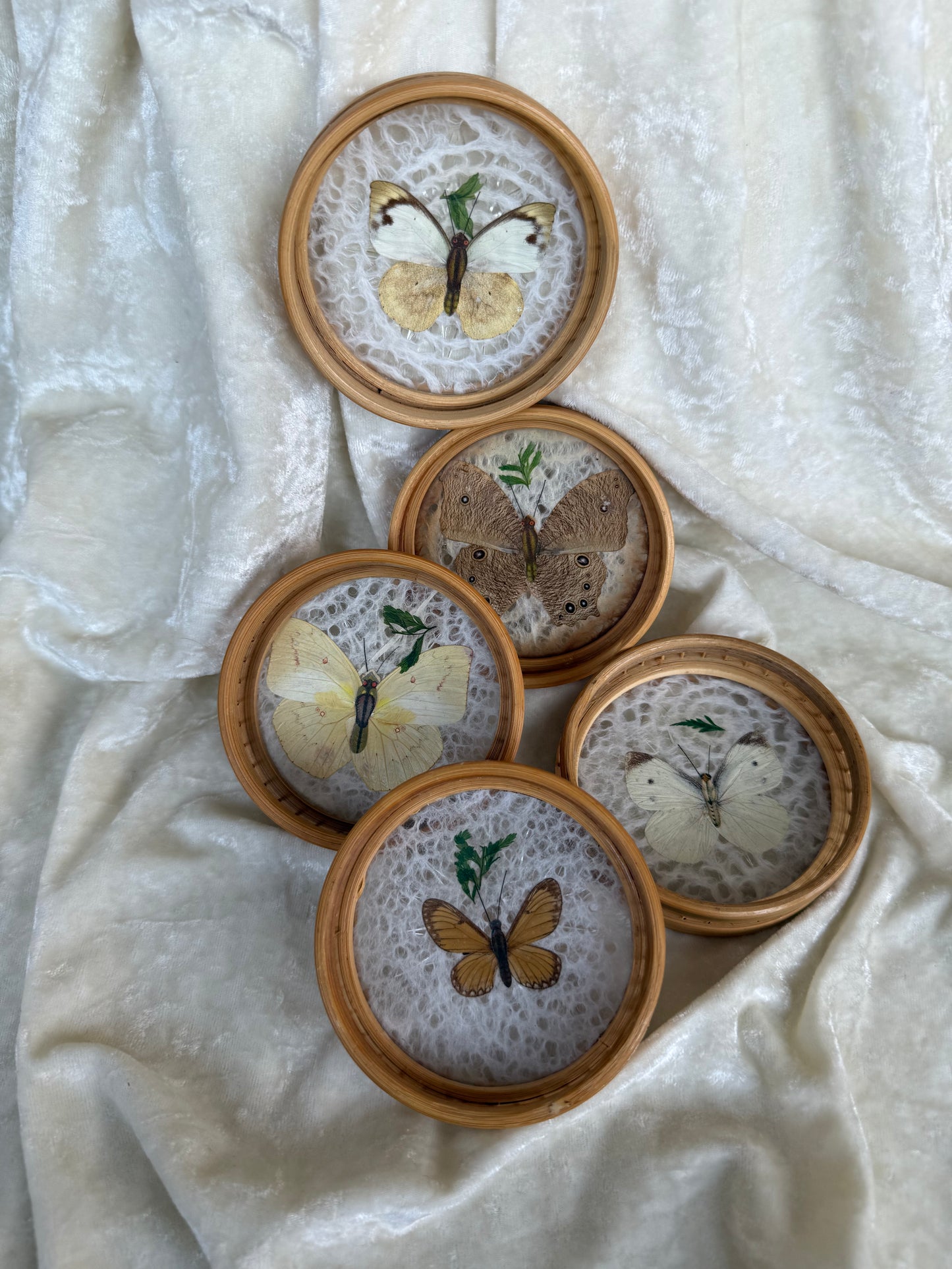 Cinq sous-verres vintage papillons séchés tour en bambou