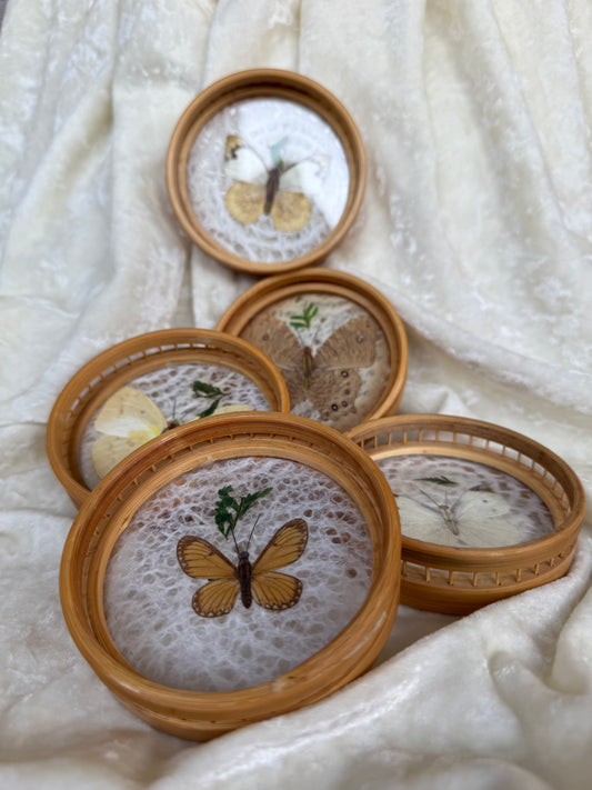 Cinq sous-verres vintage papillons séchés tour en bambou