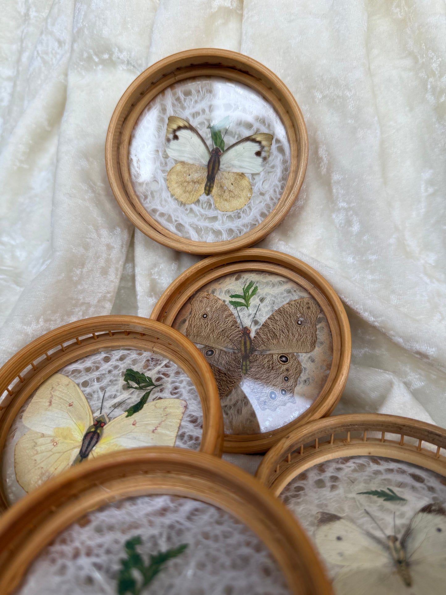 Cinq sous-verres vintage papillons séchés tour en bambou