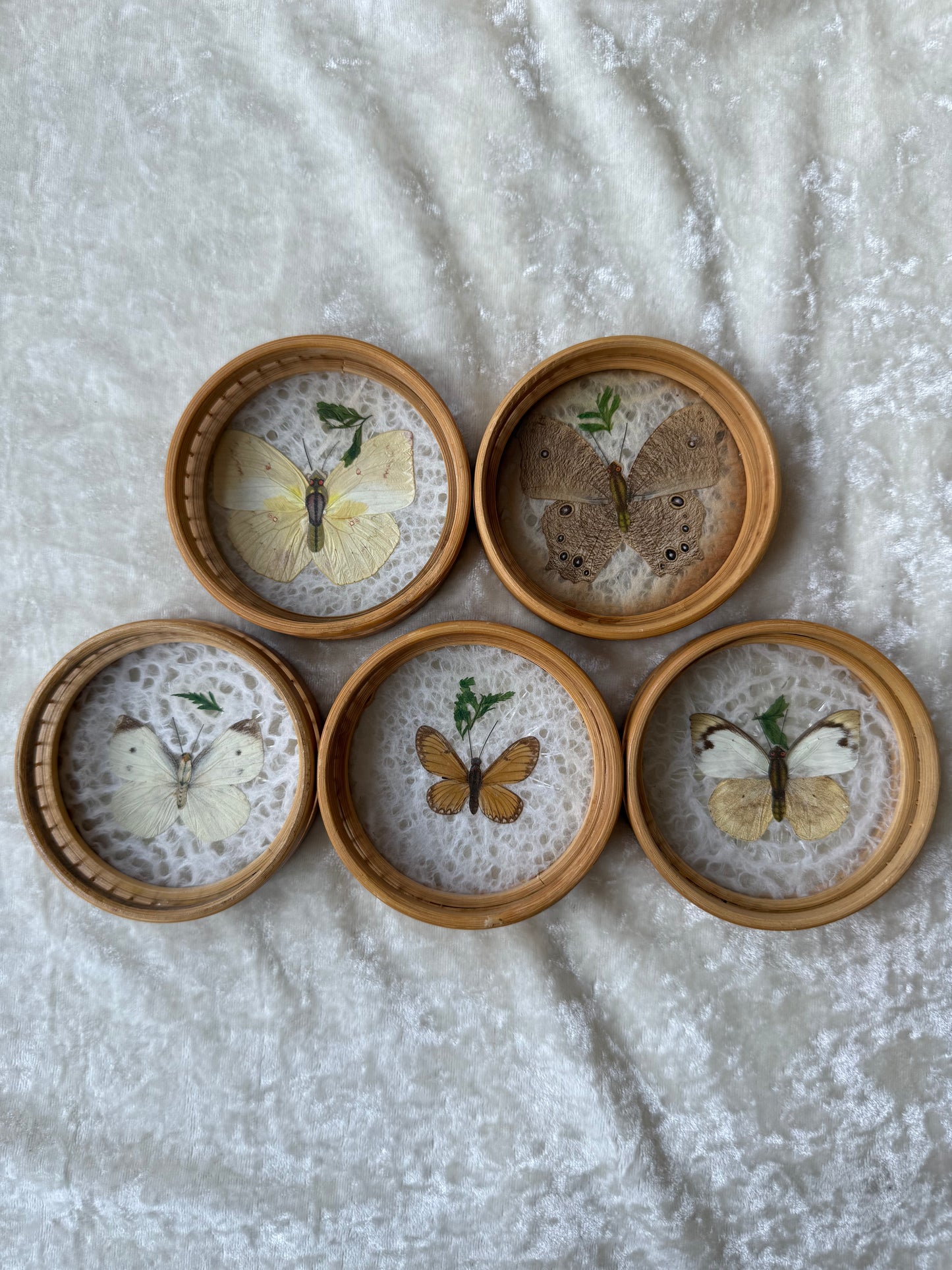 Cinq sous-verres vintage papillons séchés tour en bambou