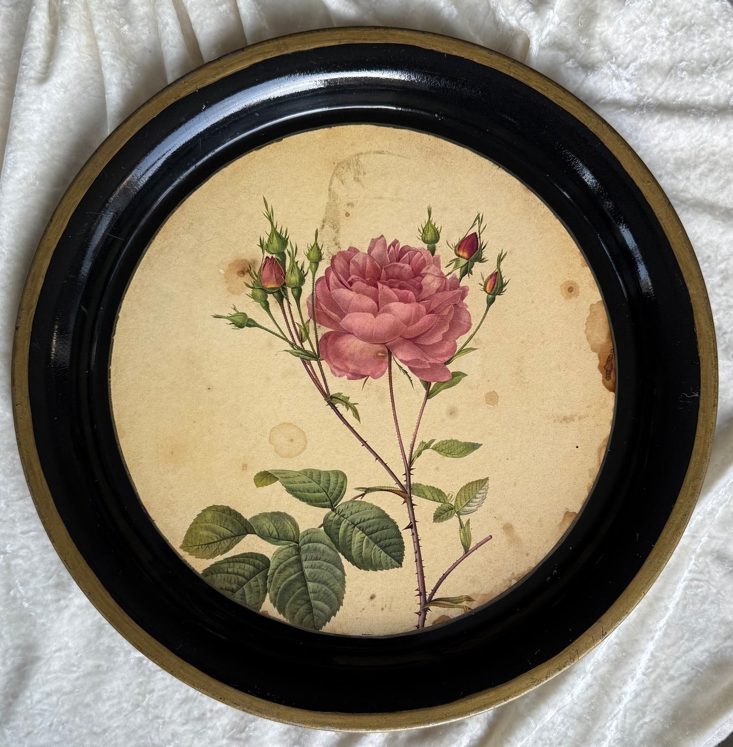 Plateau rond métallique ancien avec dessin de rose