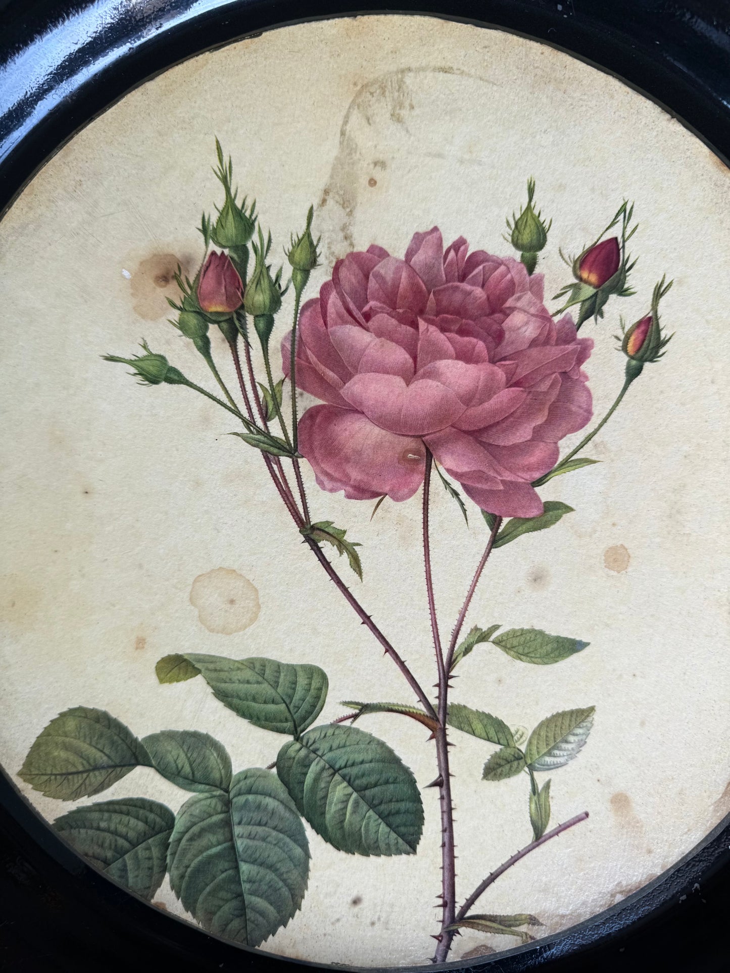 Plateau rond métallique ancien avec dessin de rose