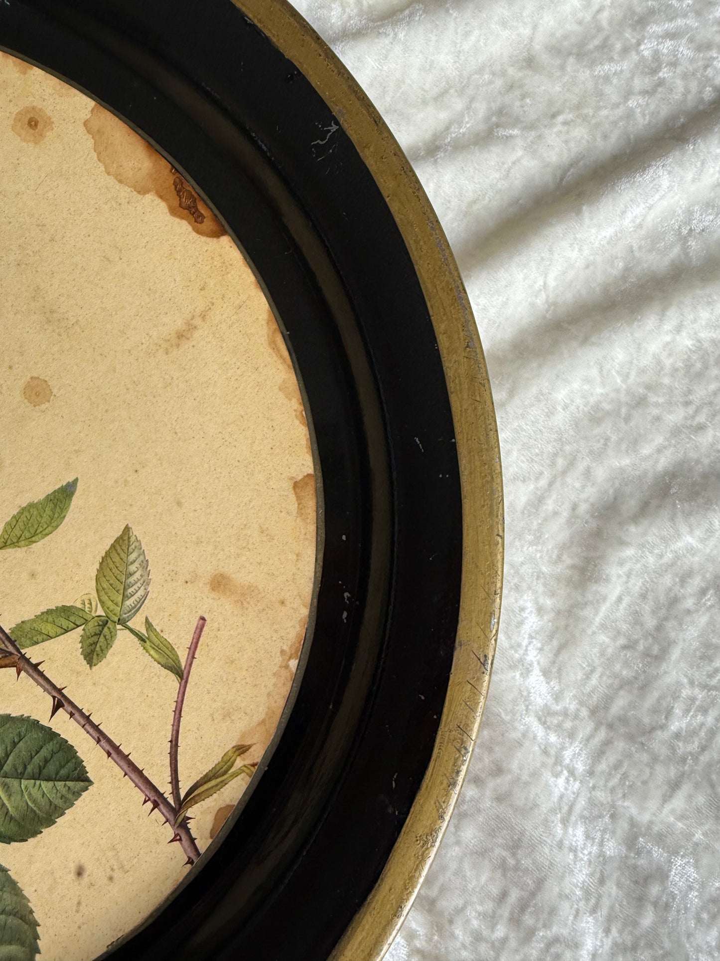 Plateau rond métallique ancien avec dessin de rose