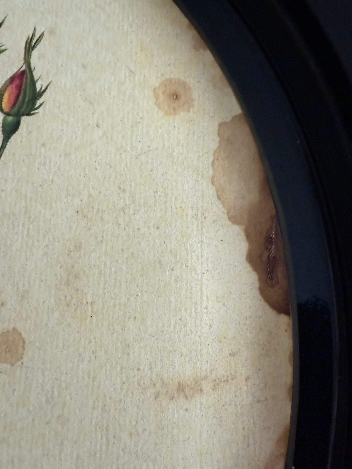 Plateau rond métallique ancien avec dessin de rose
