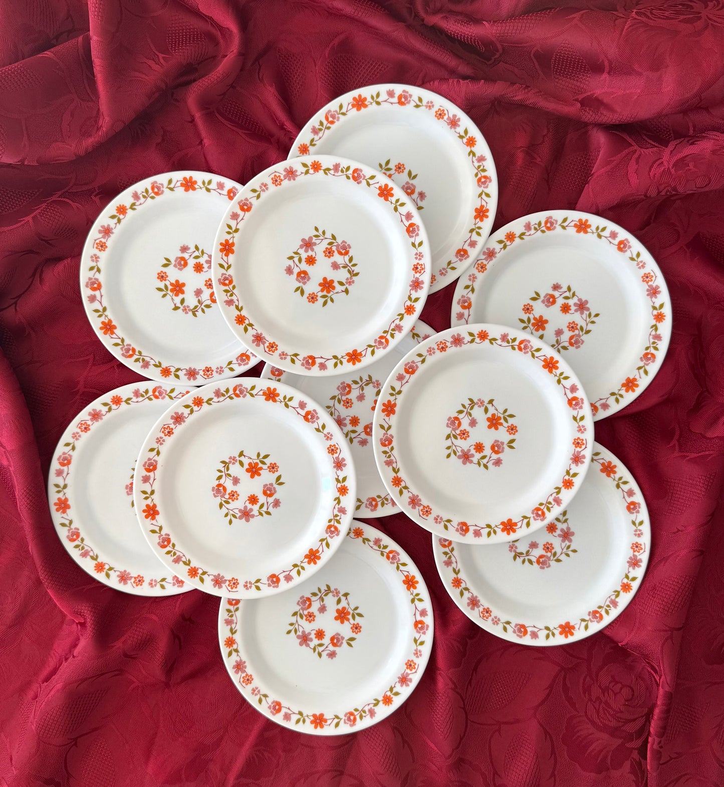 Dix assiettes à dessert Arcopal modèle Scania
