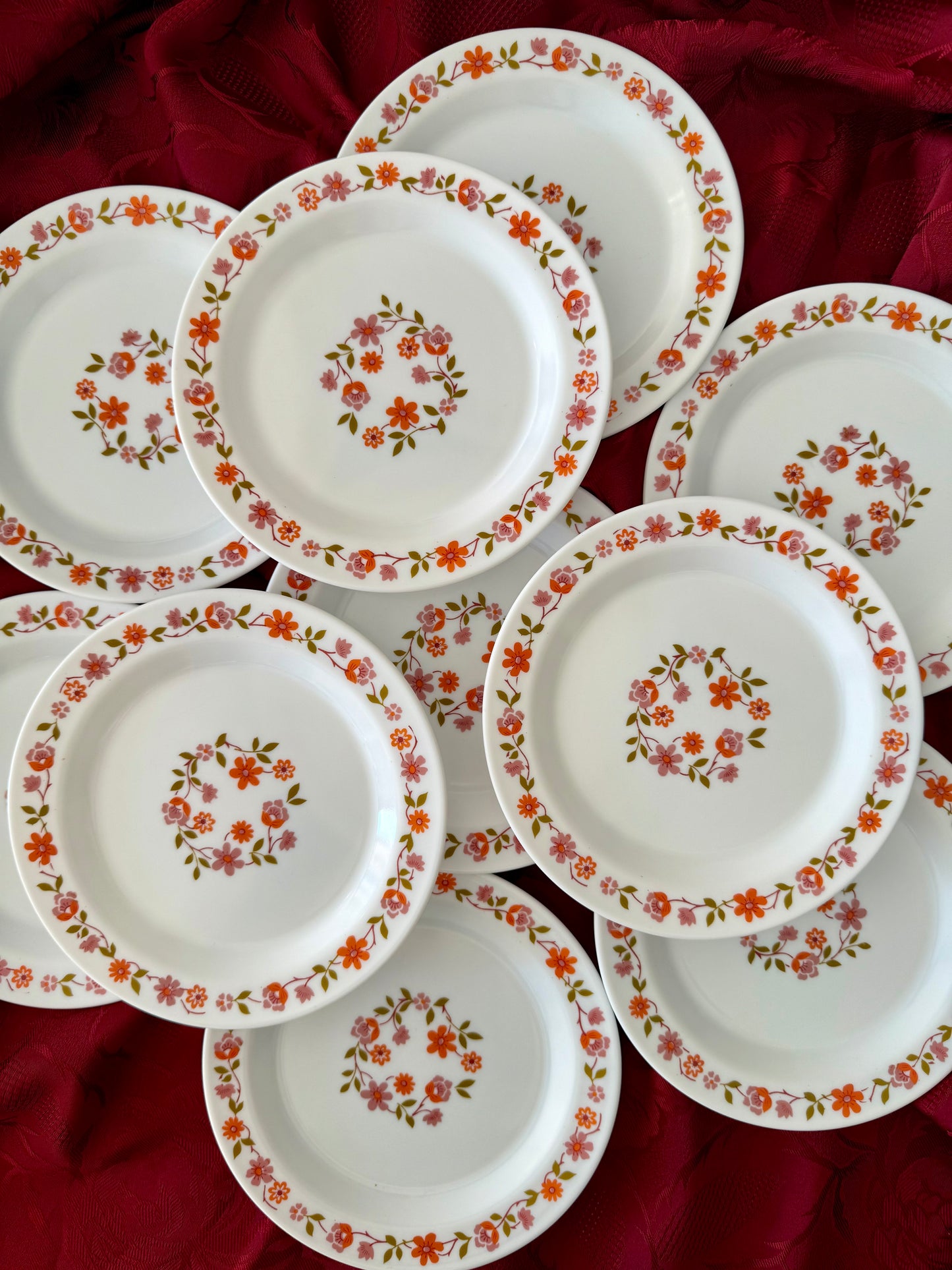 Dix assiettes à dessert Arcopal modèle Scania